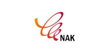 ناک: خدمات مدیریت شده مخابراتی در کلاس جهانی